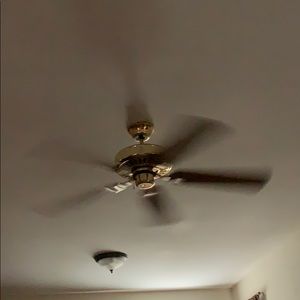 Meet your Posher, Tamara